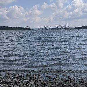 Meet your Posher, Judy